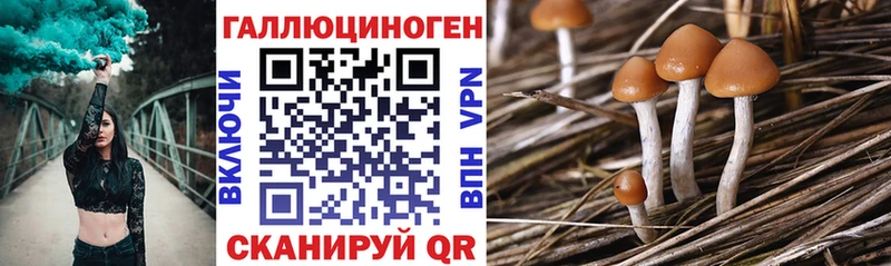 kraken онион  Сольвычегодск  Галлюциногенные грибы Magic Shrooms 